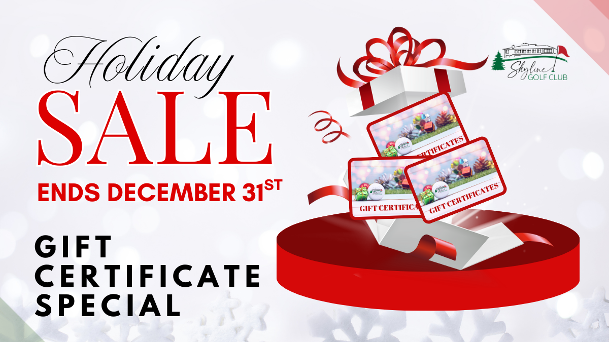 Holiday Sale at Skyline!